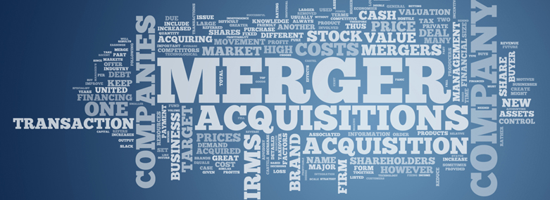 Word Cloud Merger & Acquisitions