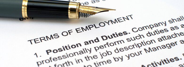 Employment contract, with terms of employment section