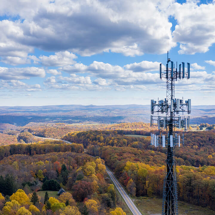 Cell phone or mobile service tower in forested area