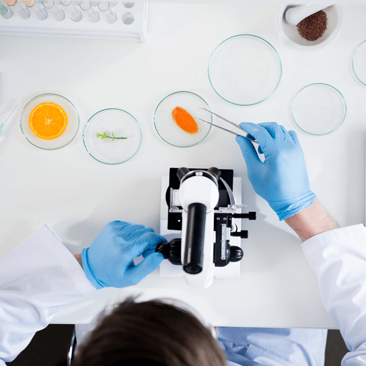 scientist conducting precision breeding in a laboratory