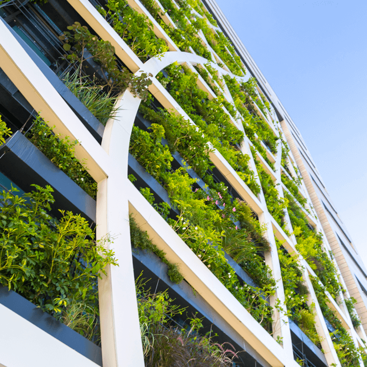 Wall of living green housing