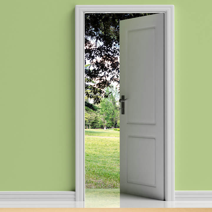 An image of an open door from the interior. Opens into a green park space. A visual metaphor for the topic of this piece, getting redundancy right.