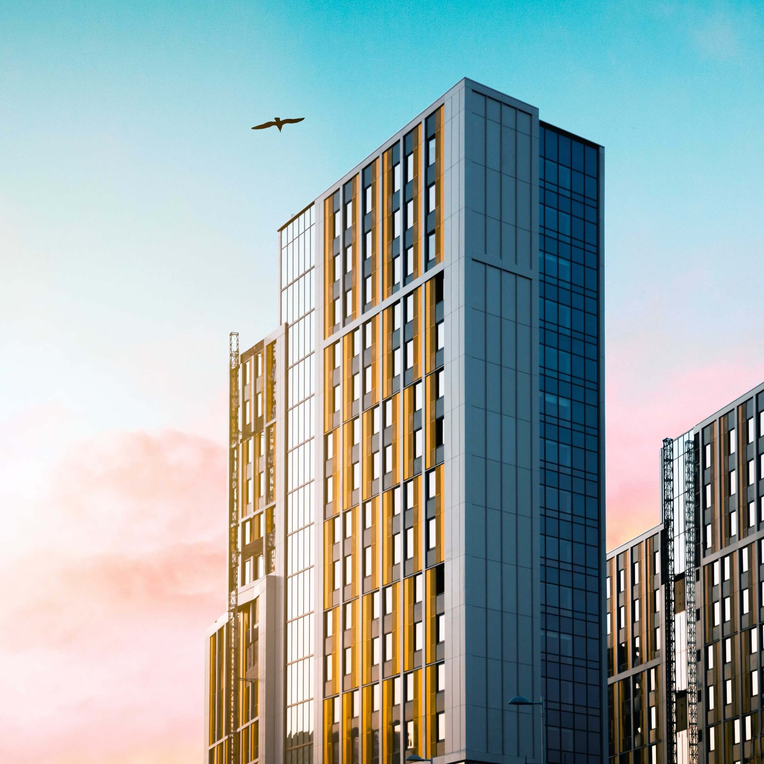 An image of a set of apartment blocks in a sunset, a bird flies overhead. A visual metaphor for the topic of this webinar The New Building Gateways: January follow up
