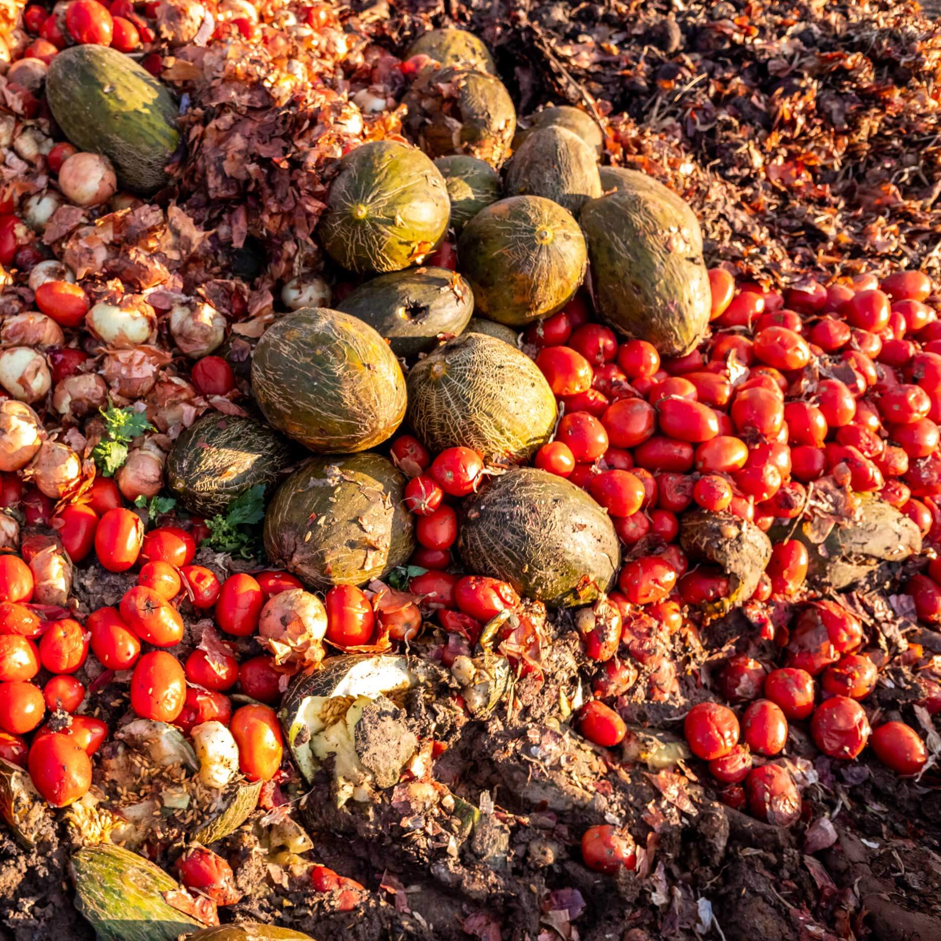 Government reconsiders mandatory waste reporting