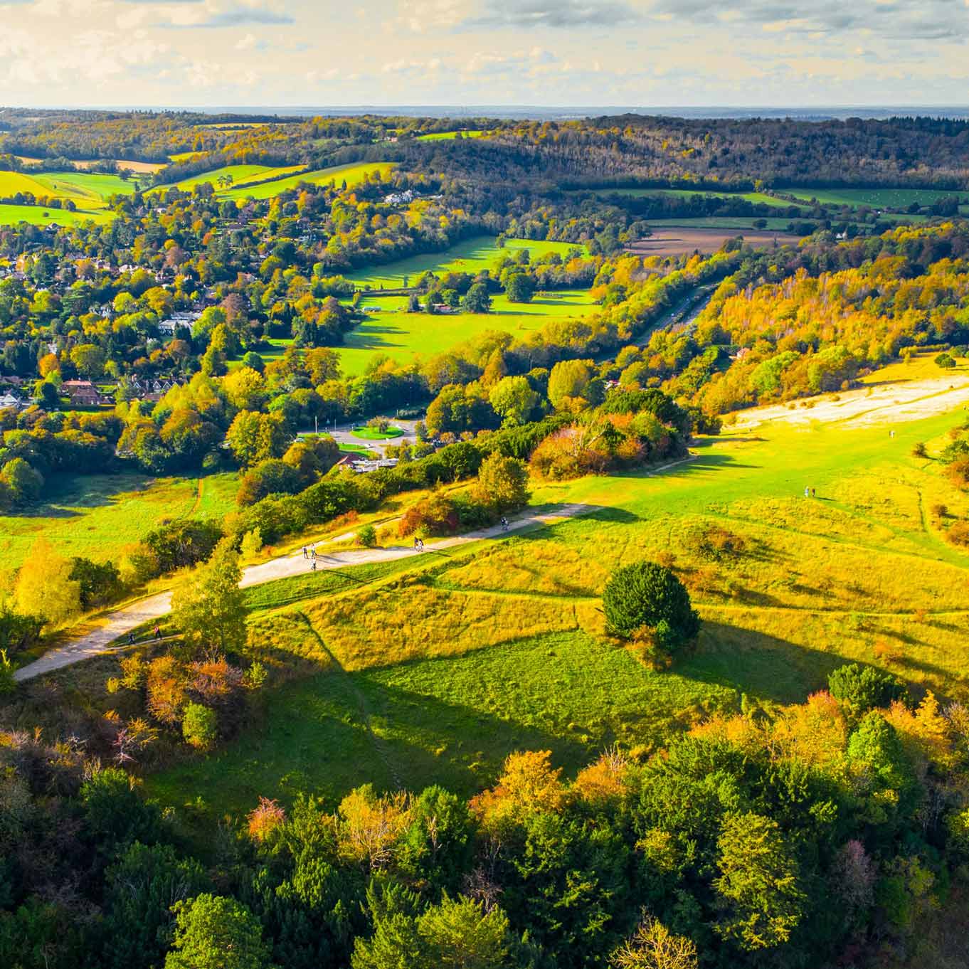An aerial image of a English landscape, there are fields woods and green spaces. A visual metaphor for the topic of this piece: Contractual control agreements over land: Open consultation